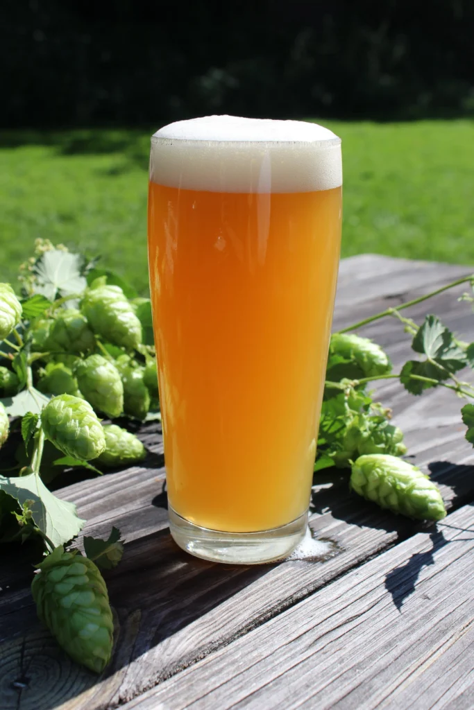 L'IPA : Une histoire aromatique d'exploration et d'innovation