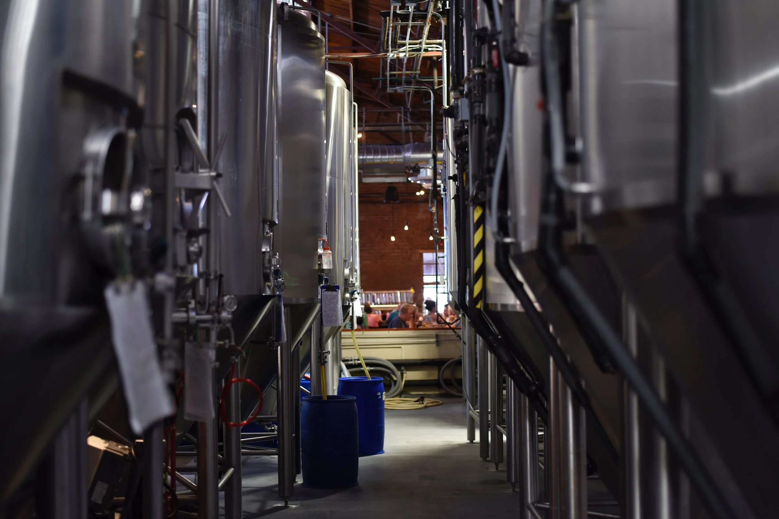L'art de la brasserie saisonnière : bières pour chaque saison