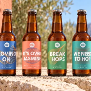 Pack découverte — 12 bières